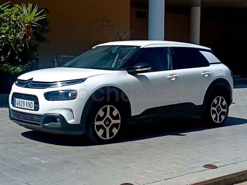 Usado Citroën C4 Cactus Business Class 102 CV (75 kW) 2019 Blanco Utilitario