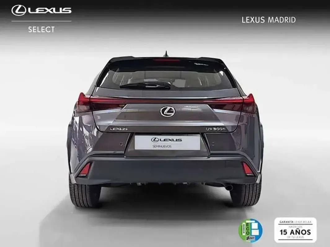 Usado Lexus UX 300h 199 CV (146 kW) 2025 Gris SUV