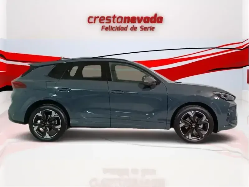 Usado Cupra Terramar 150 CV (110 kW) 2024 SUV