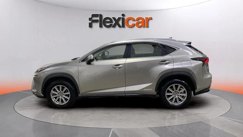 Usado Lexus NX300h Business Edition 197 CV (144 kW) 2018 Gris SUV