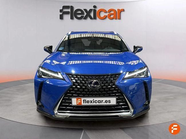 Usado Lexus UX Business Edition 184 CV (135 kW) 2020 Azul SUV