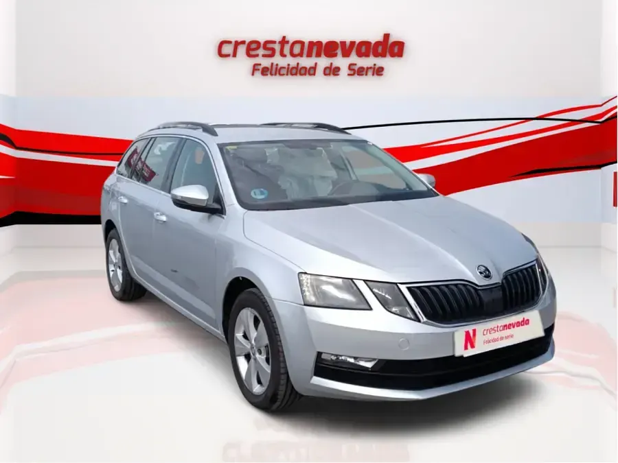 Usado Skoda Octavia G-TEC Ambition 130 CV (95 kW) 2020 Berlina