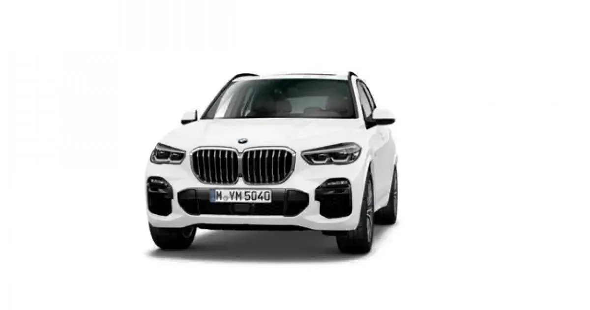 Usado BMW X5 265 CV (194 kW) 2019 SUV