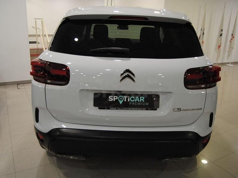 Usado Citroën C5 Aircross 131 CV (96 kW) 2024 Blanco SUV