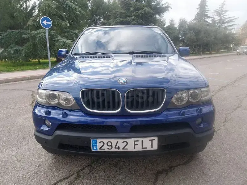 Käytetty BMW X5 235 HP (172 kW) 2007 Sininen Katumaasturi