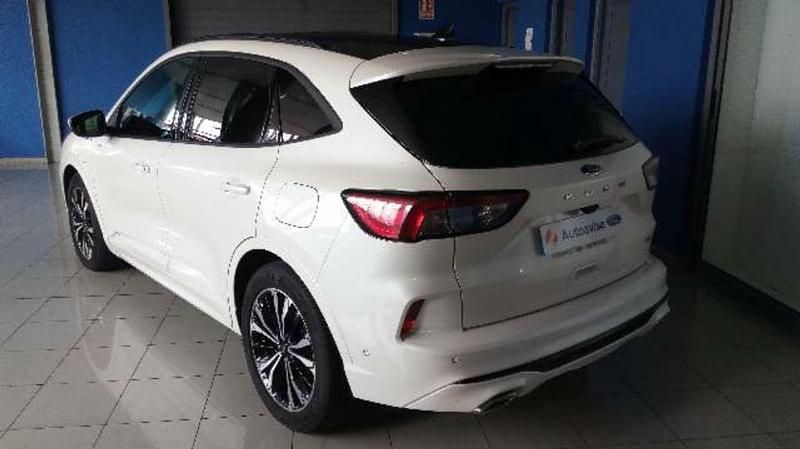 Usado Ford Kuga ST-Line X 225 CV (165 kW) 2020 Blanco SUV
