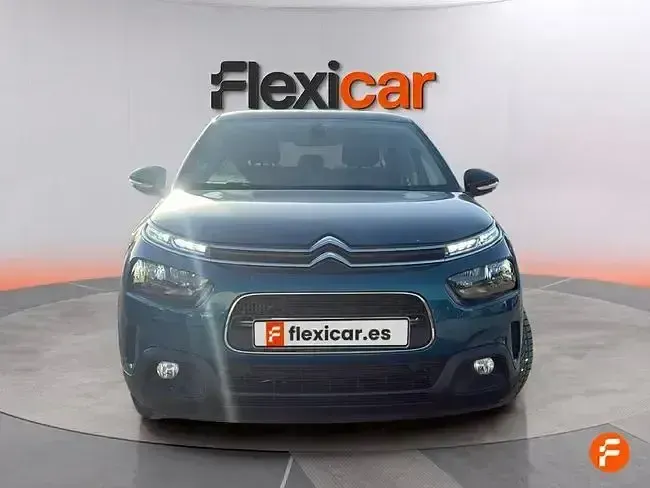 Usado Citroën C4 Cactus Feel 110 CV (80 kW) 2019 Verde Utilitario