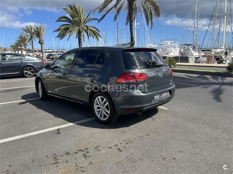 Usado VW Golf VII Business 110 CV (80 kW) 2016 Gris / plata Berlina