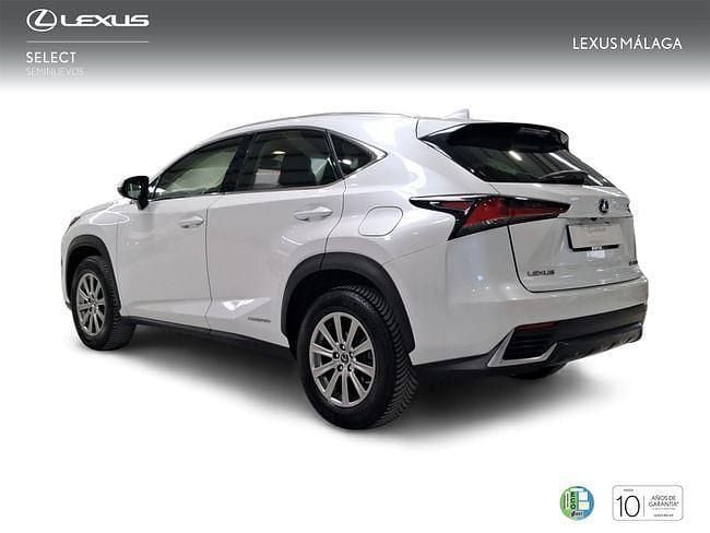 Usado Lexus NX300h Business Edition 197 CV (144 kW) 2019 Blanco SUV