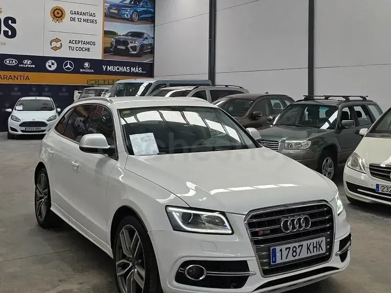 Usado Audi SQ5 313 CV (230 kW) 2015 Blanco SUV
