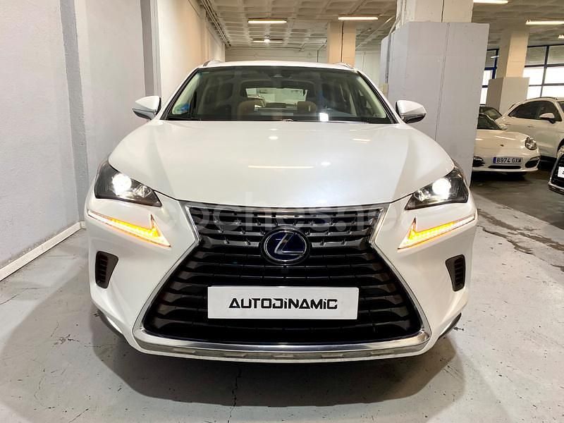 Usado Lexus NX300h Business Edition 197 CV (144 kW) 2019 Blanco SUV