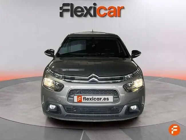 Brugt Citroën C4 Cactus PureTech 110 HK (80 kW) 2020 Grå Hatchback