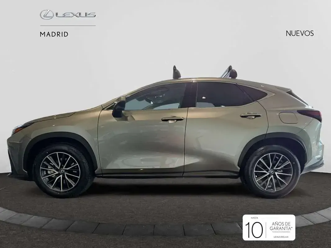 Nuevo Lexus NX450h+ 306 CV (225 kW) 2025 Blanco SUV