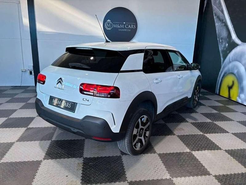 Usado Citroën C4 Cactus Shine 99 CV (72 kW) 2018 Blanco Utilitario