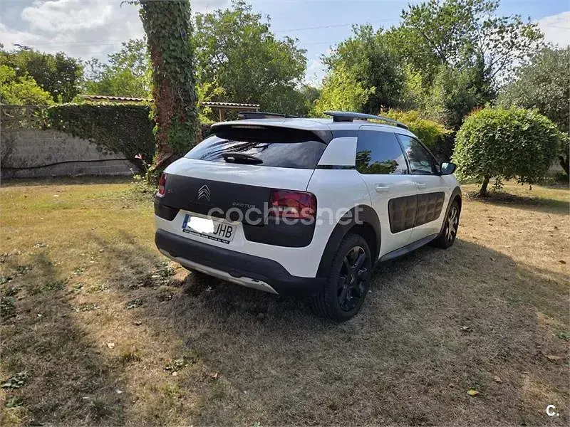 Usado Citroën C4 Cactus Feel 100 CV (73 kW) 2015 Blanco Utilitario