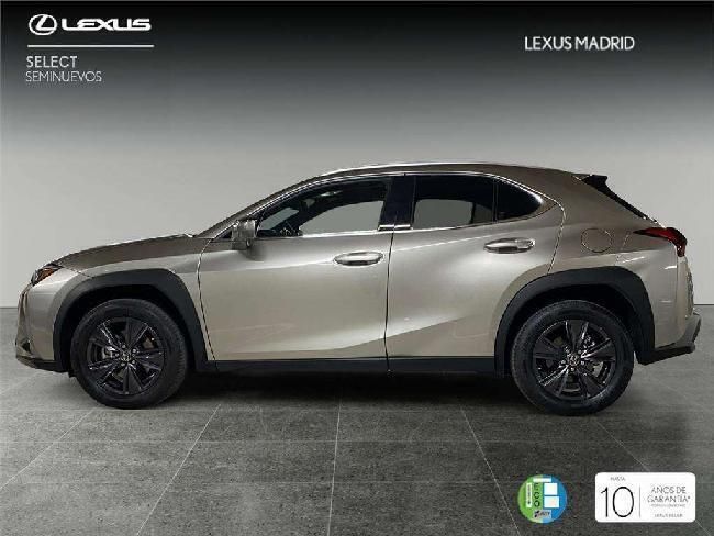 Usado Lexus UX 2024 SUV
