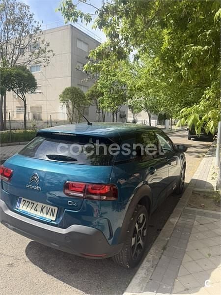 Begagnad Citroën C4 Live 110 HK (80 kW) 2019 Blå Sedan