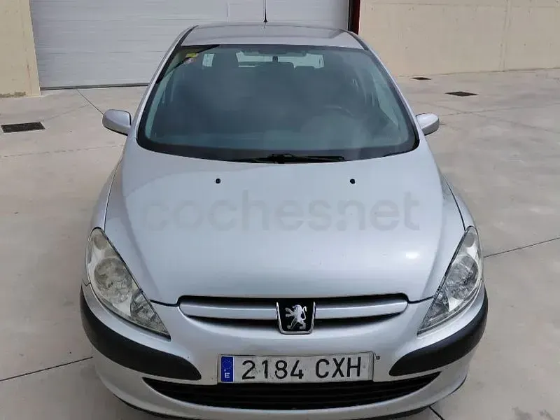 Usado Peugeot 307 110 CV (80 kW) 2004 Gris / plata Berlina