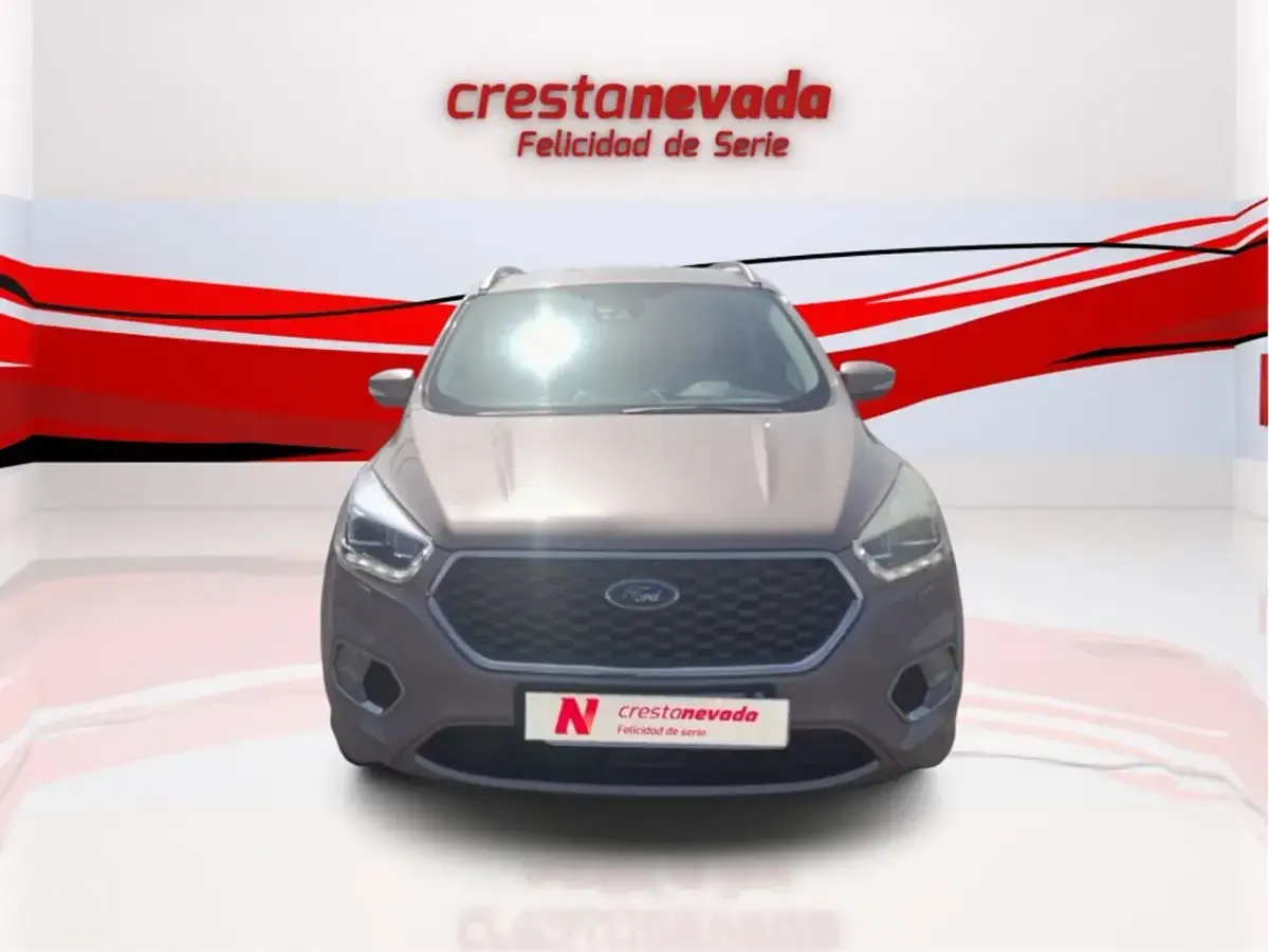 Usado Ford Kuga Vignale 150 CV (110 kW) 2019 Beige SUV