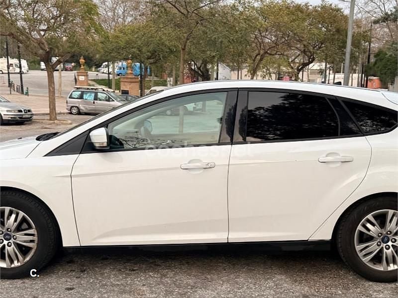 Usado Ford Focus Trend 100 CV (73 kW) 2013 Blanco Berlina