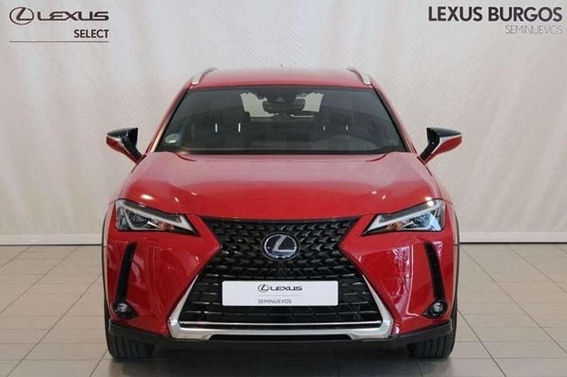 Usado Lexus UX 250h Business Edition 184 CV (135 kW) 2021 Rojo SUV