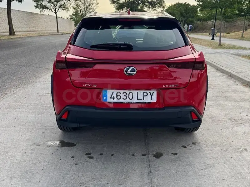 Usado Lexus UX Business Edition 184 CV (135 kW) 2021 Rojo SUV