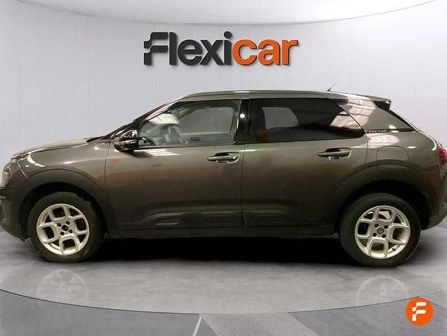 Usado Citroën C4 Cactus Feel 110 CV (80 kW) 2019 Gris / plata Utilitario