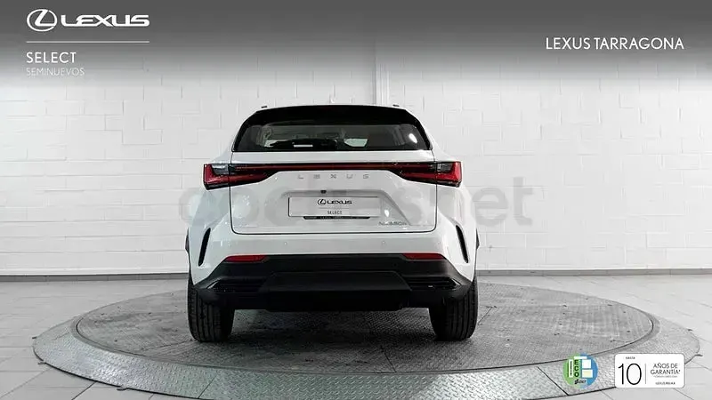 Usado Lexus NX350h 197 CV (144 kW) 2026 Blanco SUV