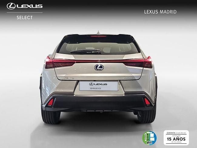 Usado Lexus UX Business Edition 183 CV (134 kW) 2019 Gris SUV