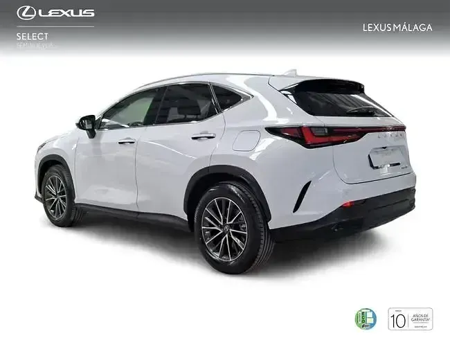 Nuevo Lexus NX450h+ 292 CV (214 kW) 2026 Blanco SUV