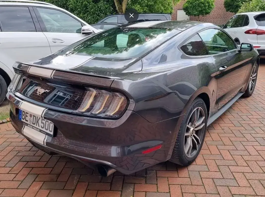 Usado Ford Mustang Fastback 314 CV (230 kW) 2017 Gris Coupe
