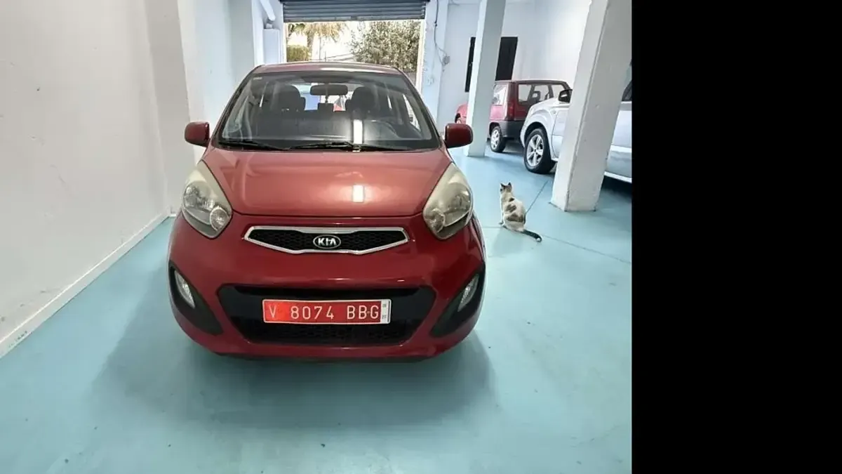 Usado Kia Picanto Urban 69 CV (50 kW) 2014 Rojo Utilitario
