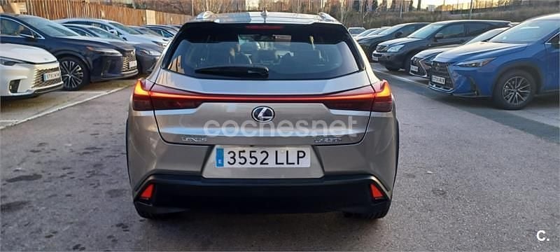 Usado Lexus UX Business Edition 184 CV (135 kW) 2020 Gris / plata SUV