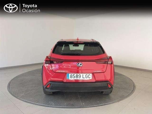 Usado Lexus UX 250h Business Edition 184 CV (135 kW) 2020 SUV