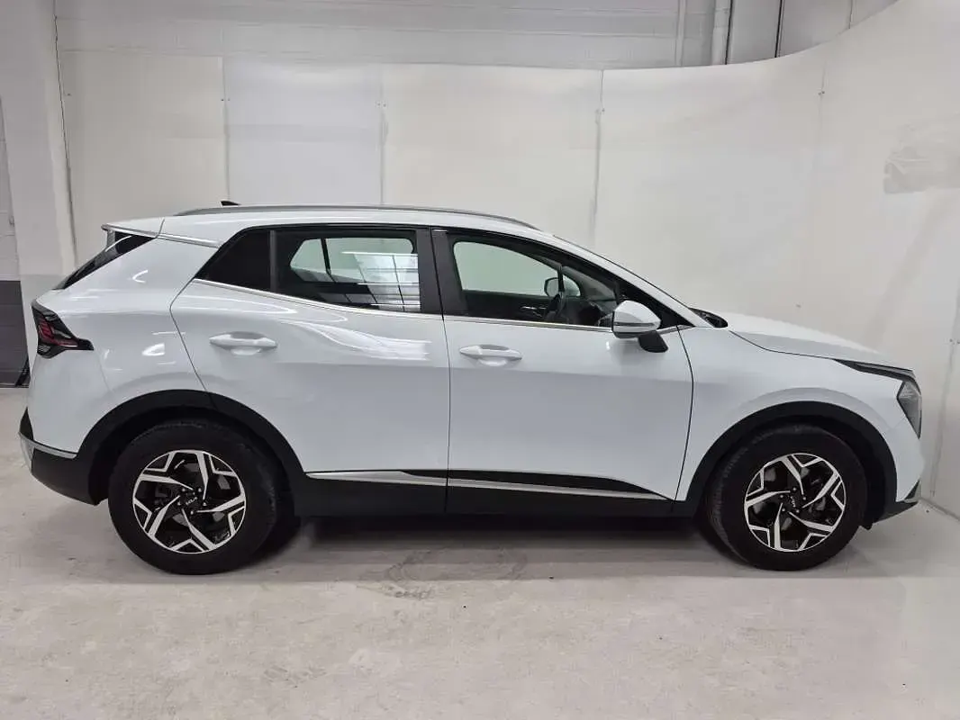 Usado Kia Sportage 162 CV (119 kW) 2024 Blanco SUV
