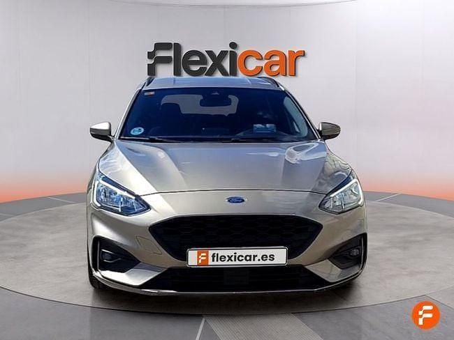 Usado Ford Focus ST-Line 125 CV (91 kW) 2019 Beige