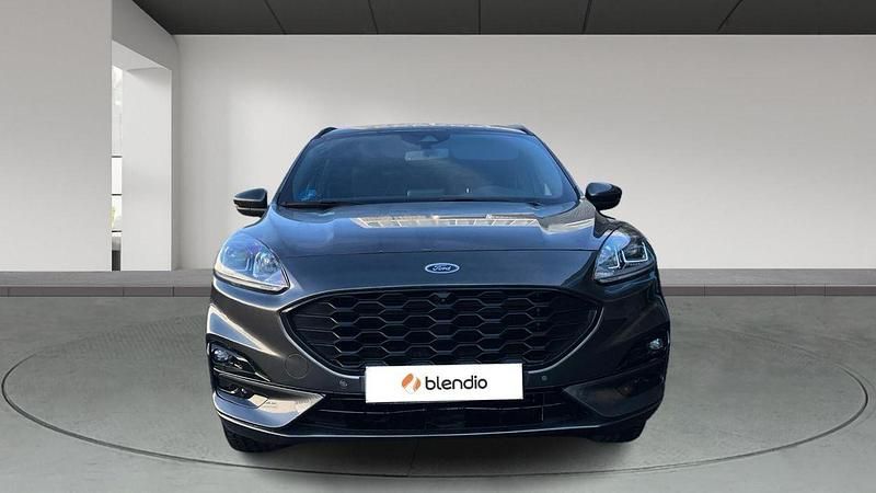 Usado Ford Kuga ST-Line 225 CV (165 kW) 2023 Gris SUV