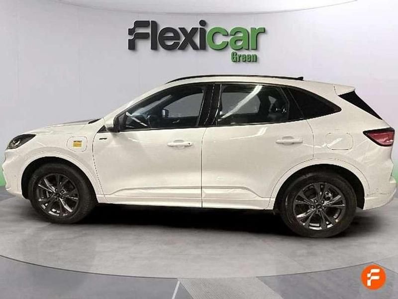 Usado Ford Kuga ST-Line 224 CV (164 kW) 2023 Blanco SUV