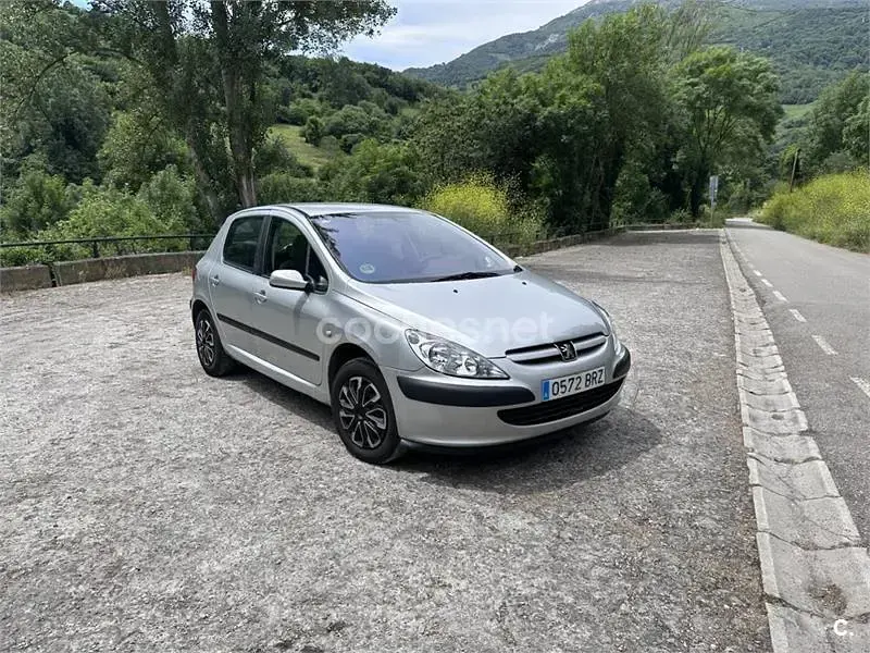 Usado Peugeot 307 110 CV (80 kW) 2002 Gris / plata Berlina