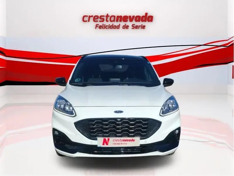 Usado Ford Kuga ST-Line X 190 CV (139 kW) 2024 SUV