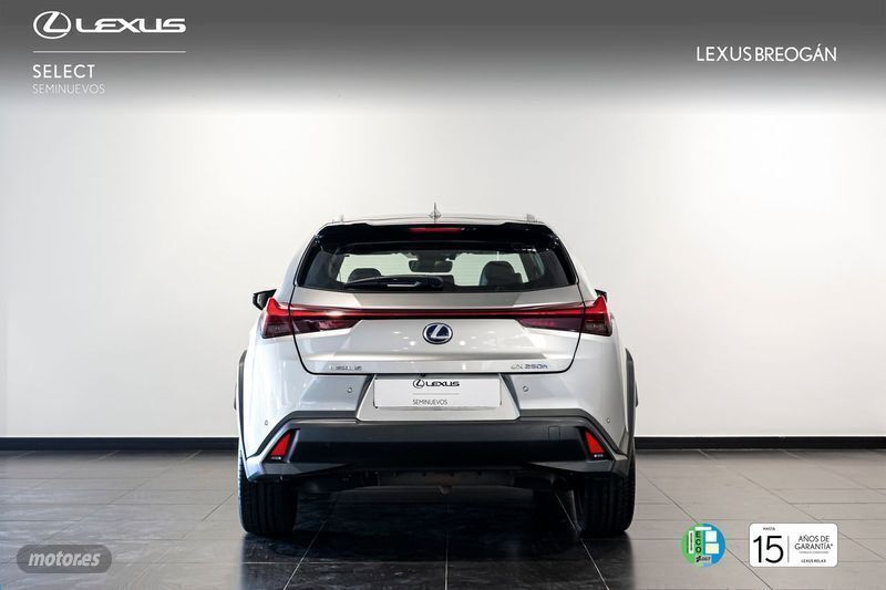 Usado Lexus UX 250h Luxury Line 184 CV (135 kW) 2019 Gris SUV