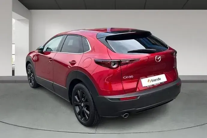 Usado Mazda CX-30 Homura-Line 150 CV (110 kW) 2023 SUV