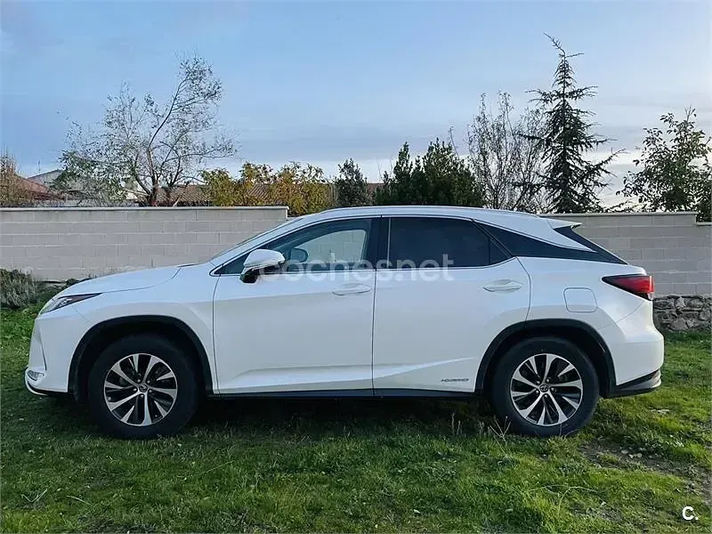 Usado Lexus RX450h Business Edition 313 CV (230 kW) 2020 Blanco SUV