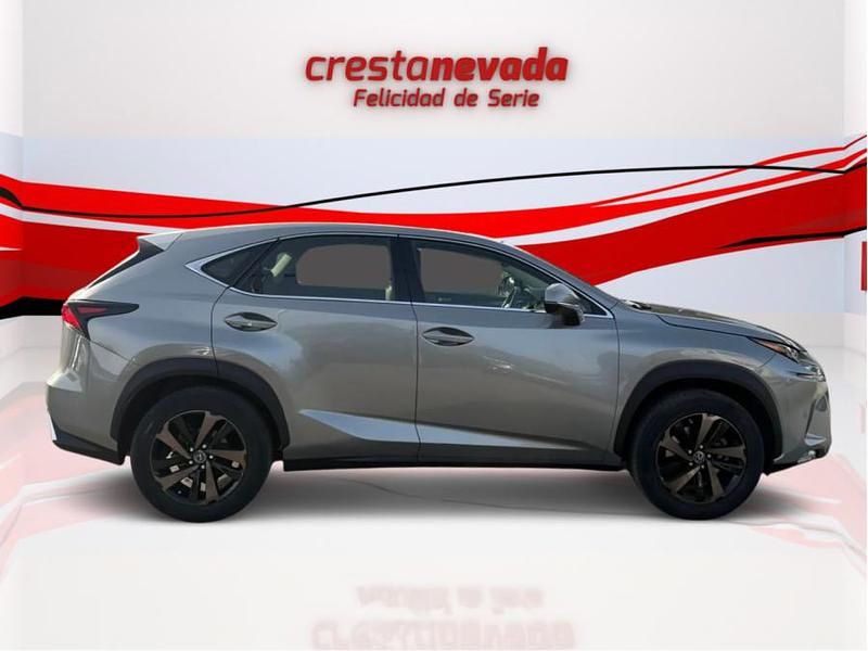 Usado Lexus NX300h Sport Line 197 CV (144 kW) 2019 SUV