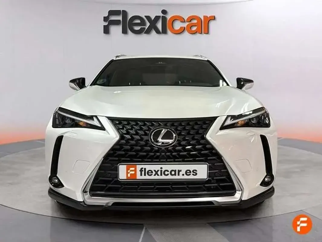 Usado Lexus UX 300h 199 CV (146 kW) 2024 Blanco SUV