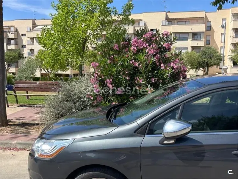 Usado Citroën C4 92 CV (67 kW) 2014 Gris / plata Berlina