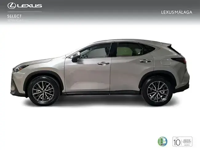 Usado Lexus NX350h Business Edition 242 CV (177 kW) 2022 Gris SUV