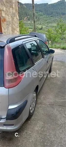 Usado Peugeot 206 70 CV (51 kW) 2006 Gris / plata Familiar