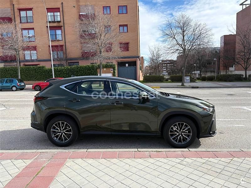 Usado Lexus NX350h 242 CV (177 kW) 2024 Verde SUV