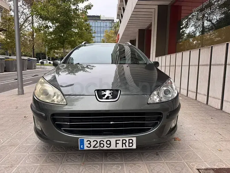 Usado Peugeot 407 143 CV (105 kW) 2008 Verde Familiar
